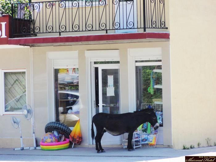 Hotel Sharmat Pizunda Exteriör bild